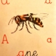 Vallegaudia - Eventi - Voce del verbo alveare