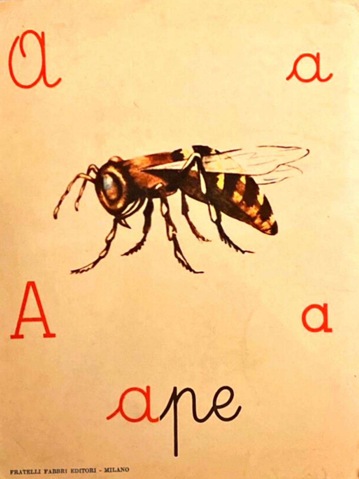 Vallegaudia - Eventi - Voce del verbo alveare